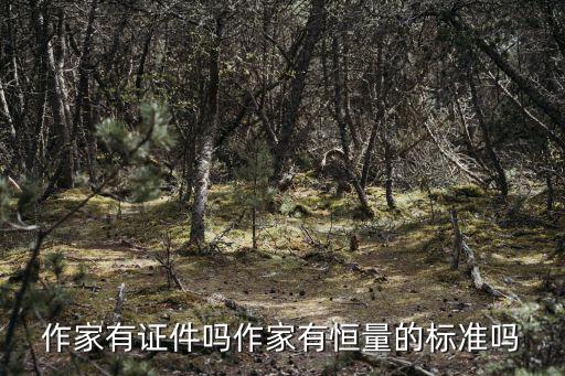 作家有證件嗎作家有恒量的標準嗎