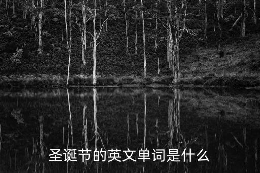 圣誕節(jié)的英文單詞是什么