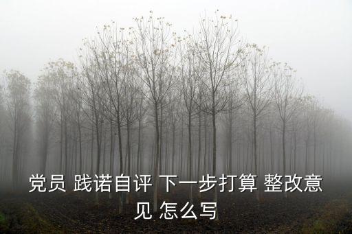 整改承諾，經營醫療器械行為自查整改報告及承諾書怎么填