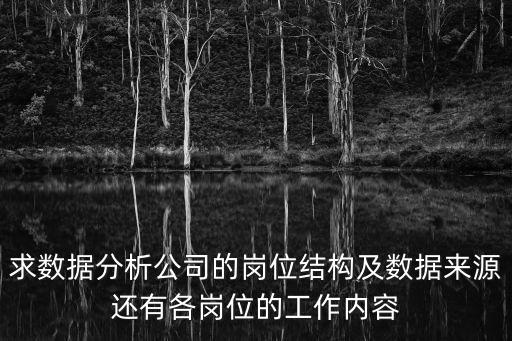 求數(shù)據(jù)分析公司的崗位結(jié)構(gòu)及數(shù)據(jù)來(lái)源還有各崗位的工作內(nèi)容