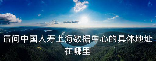 請問中國人壽上海數據中心的具體地址在哪里
