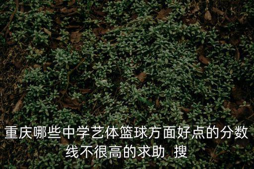 重慶市初中女子籃球，哪個重慶的中學有女子籃球隊
