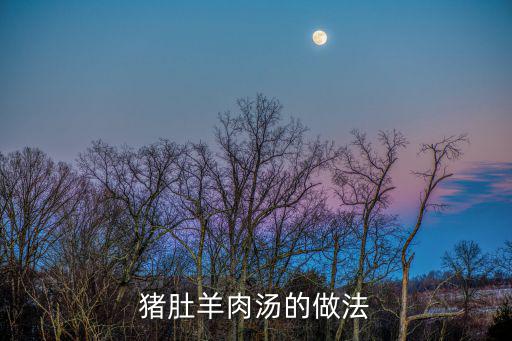 豬肚羊肉湯的做法