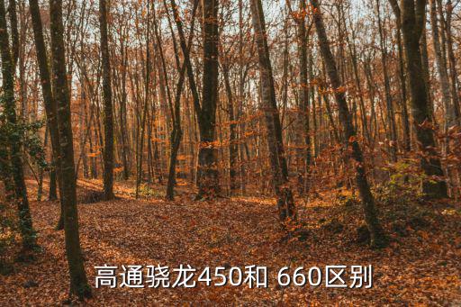 高通660,660比660處理器性能略高