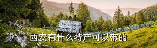 西安有什么特產可以帶的
