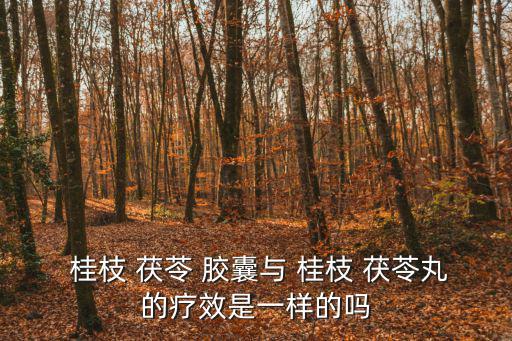 桂枝茯苓膠囊的副作用,服用桂枝茯苓丸有副作用嗎?
