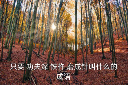 只要功夫深鐵杵磨成針,只要功夫深，鐵杵磨成針