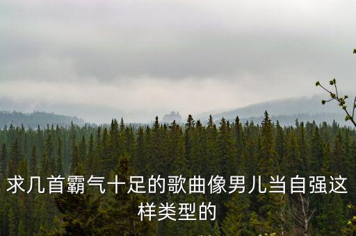 求幾首霸氣十足的歌曲像男兒當自強這樣類型的