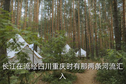 四川省重慶市潼江河水產，重慶最大的水產批發市場有哪些
