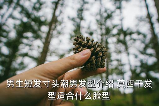 男生短發寸頭潮男發型介紹 莫西干發型適合什么臉型