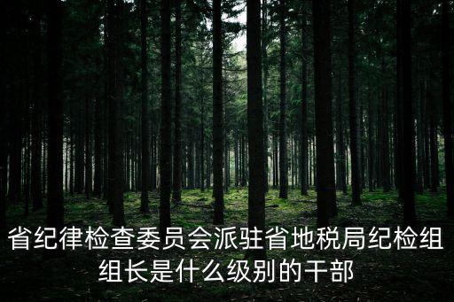 省紀律檢查委員會派駐省地稅局紀檢組組長是什么級別的干部