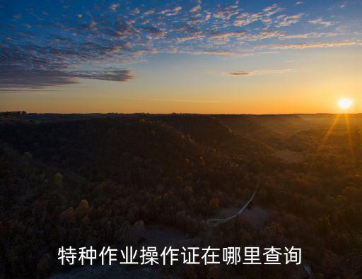 特種作業(yè)操作證在哪里查詢