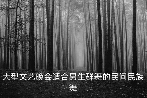 大型文藝晚會適合男生群舞的民間民族舞