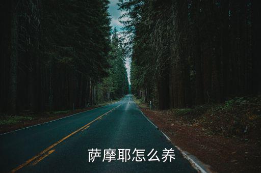 薩摩耶怎么訓(xùn)練,薩摩對(duì)，很好養(yǎng)!訓(xùn)練重點(diǎn)是懲罰與誘導(dǎo)