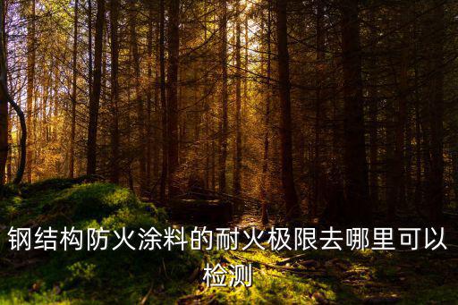 鋼結構防火涂料的耐火極限去哪里可以檢測