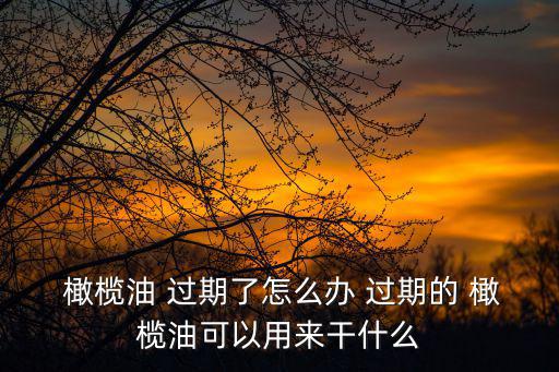 橄欖油 過期了怎么辦 過期的 橄欖油可以用來干什么