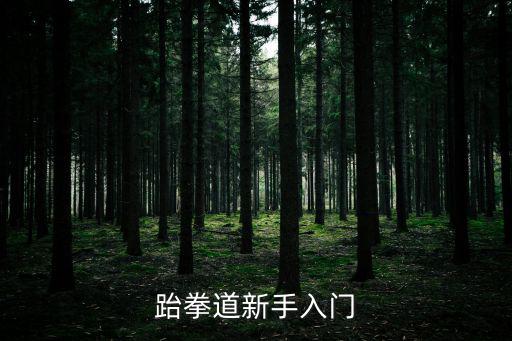 跆拳道新手入門