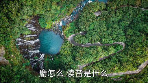 麝怎么 讀音是什么
