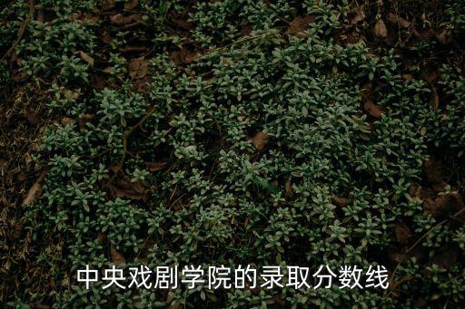 中央戲劇學院的錄取分數線