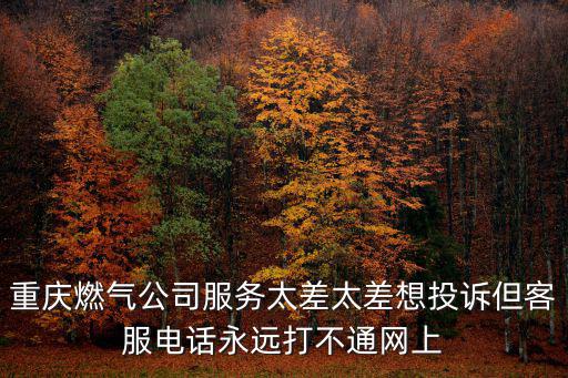重慶燃氣公司服務太差太差想投訴但客服電話永遠打不通網上