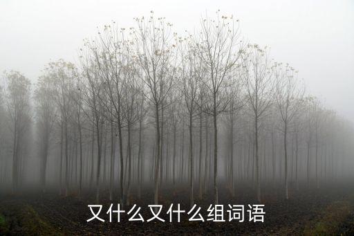 什么又什么，又什么又什么組詞語
