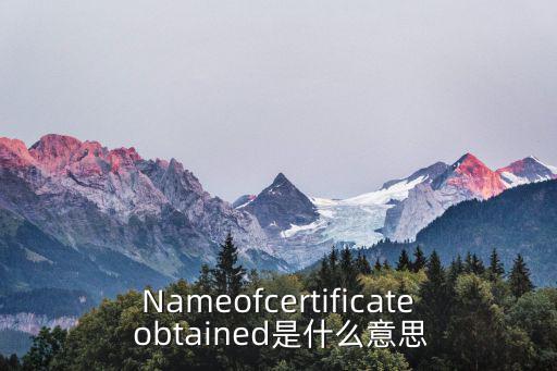 Nameofcertificate obtained是什么意思