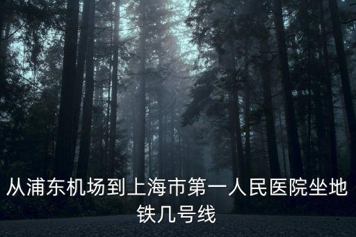 從浦東機場到上海市第一人民醫院坐地鐵幾號線
