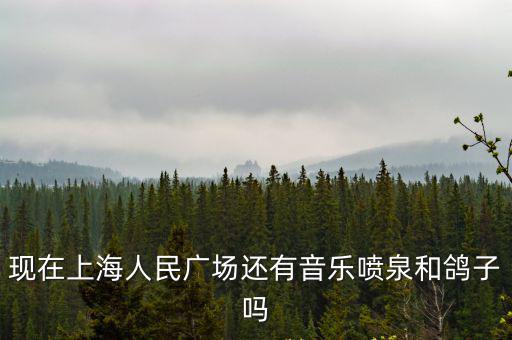 現在上海人民廣場還有音樂噴泉和鴿子嗎