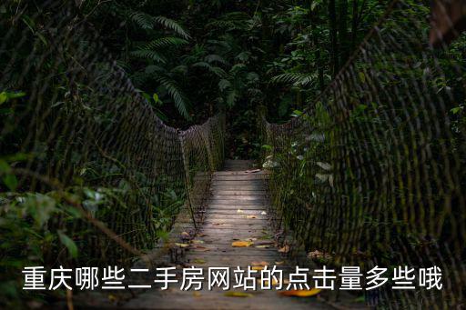 重慶哪些二手房網(wǎng)站的點(diǎn)擊量多些哦