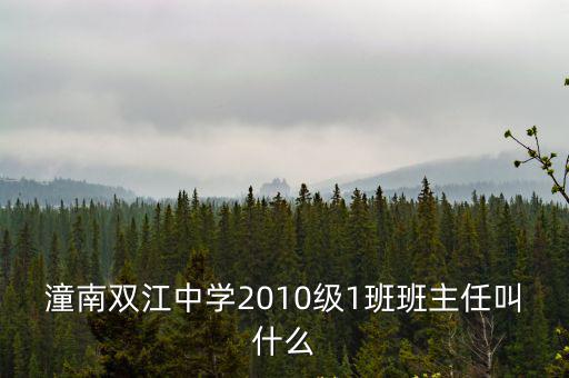 潼南雙江中學2010級1班班主任叫什么