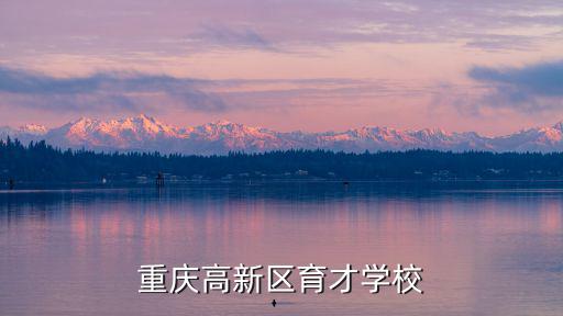 重慶市高新區育才小學照片，重慶高新區育才學校簡介