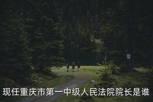 重慶市酉陽縣法院院長，重慶市最高人民法院院長是誰
