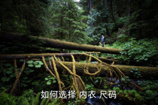 內衣尺碼怎么選擇,內衣胸圍尺寸知多少?問與答（13）