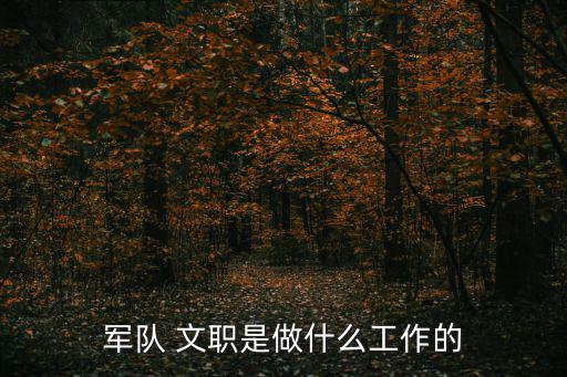 軍隊 文職是做什么工作的
