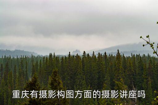 重慶有攝影構(gòu)圖方面的攝影講座嗎
