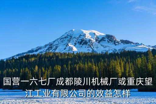 國營一六七廠成都陵川機械廠或重慶望江工業有限公司的效益怎樣