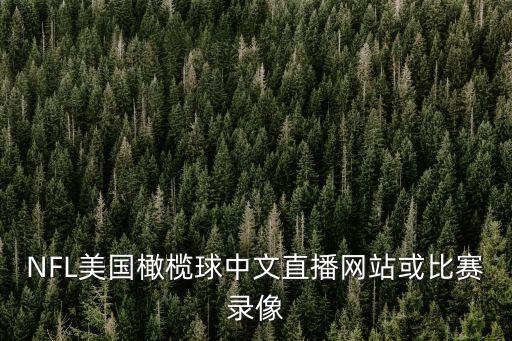 NFL美國橄欖球中文直播網站或比賽錄像