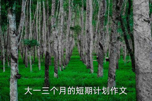 短期計劃，大一三個月的短期計劃作文