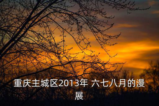 重慶主城區2013年 六七八月的漫展