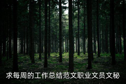 求每周的工作總結范文職業(yè)文員文秘