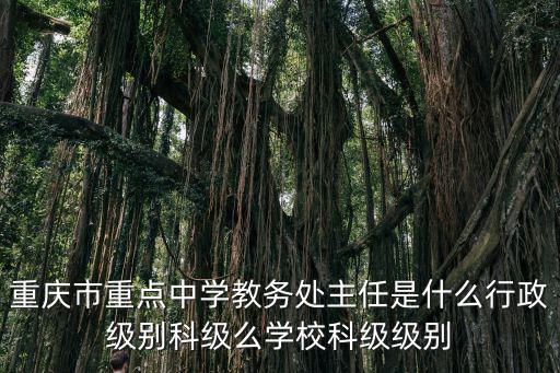 重慶市重點中學教務處主任是什么行政級別科級么學校科級級別