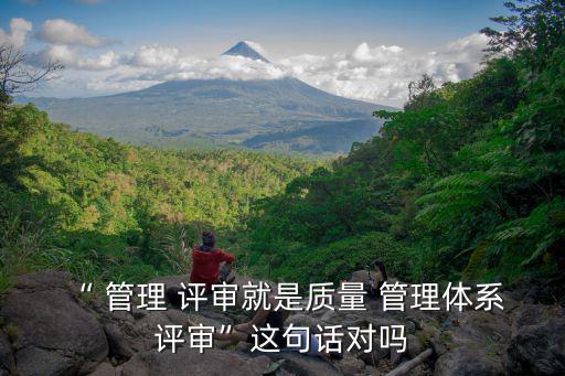 “ 管理 評(píng)審就是質(zhì)量 管理體系 評(píng)審”這句話對(duì)嗎