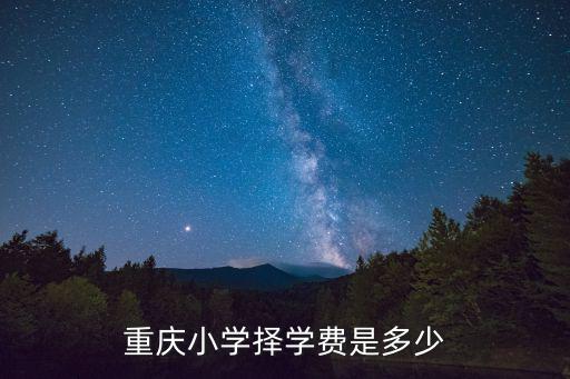 重慶小學擇學費是多少