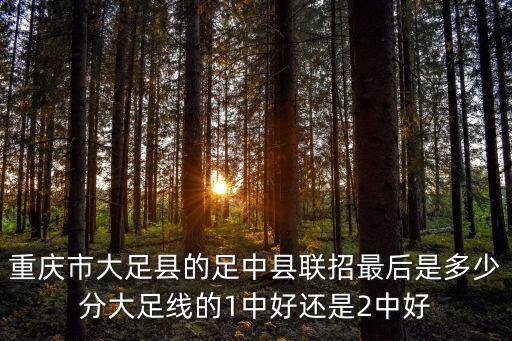 重慶市大足區職高錄取分數線，大足錄取分數線是多少