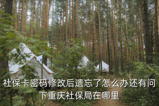 重慶市社保網上修改，社保卡密碼修改后遺忘了怎么辦還有問下重慶社保局在哪里