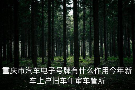 重慶市汽車電子號牌有什么作用今年新車上戶舊車年審車管所