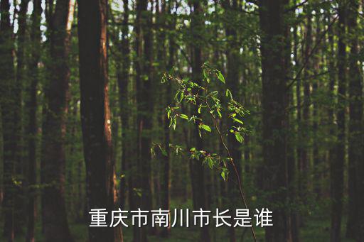 重慶市南川市長是誰