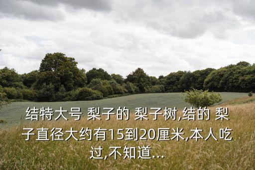 結(jié)特大號 梨子的 梨子樹,結(jié)的 梨子直徑大約有15到20厘米,本人吃過,不知道...