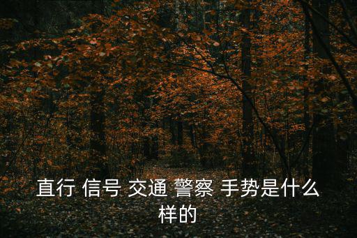 直行 信號 交通 警察 手勢是什么樣的