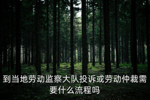 到當地勞動監察大隊投訴或勞動仲裁需要什么流程嗎